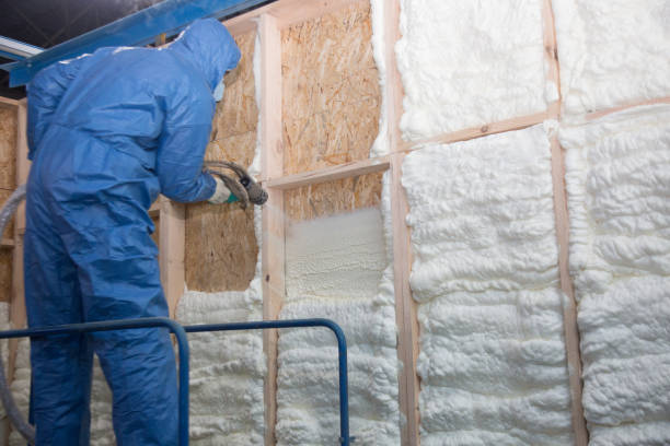 Professional Insulation Services in Fordyce, AR